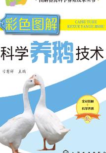 属相清宫表