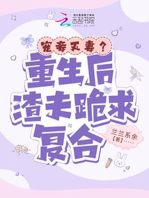 历代将军的八字