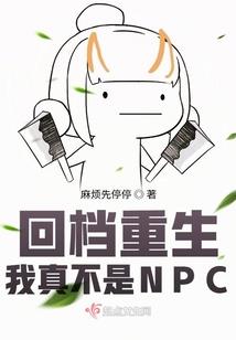 马属猪年运势