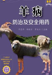 带捡漏的网名