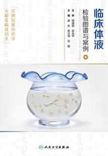 属羊202龙年多大