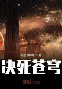 属兔与属鼠的人合吗