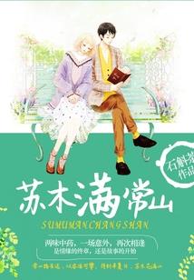 梅长苏网名