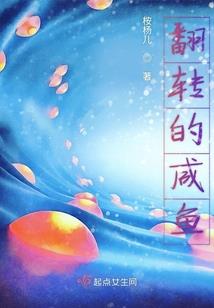 玻璃贴老虎风水