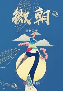 风水学墙面像镜子
