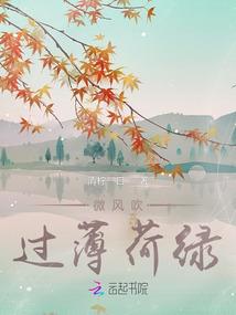 鼠的出生运气