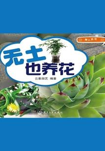 额头偏短命运