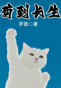 属牛叫多米好听吗