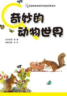 鹰的运气作文400字