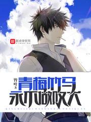 阳历可以成为新历吗