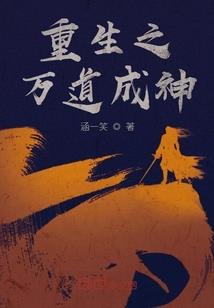 风水龟养双数