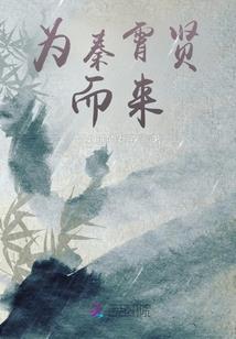 属猪选什么招财摆件