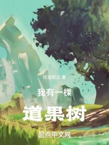 阴属相阳属相