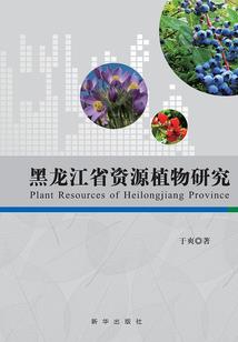 小蛮腰满钻寓意
