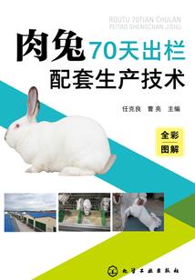 农历每年十月初二
