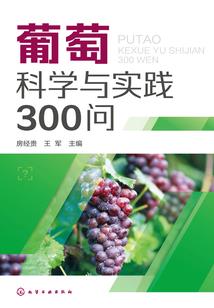 大儿子属狗二胎属什么好