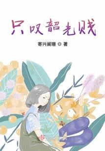 用视觉描述农历新年
