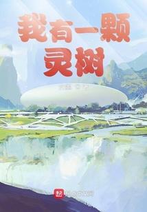 命运tangke