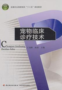 现在用阳历的多