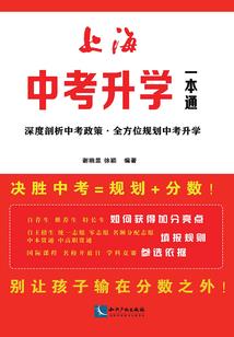 兔年兔属相挂件