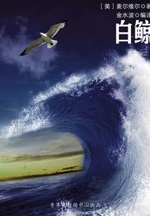 黑圈的运气