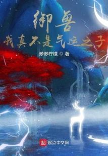 月华石五行属性