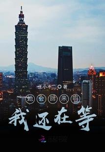三奇三合八字实例