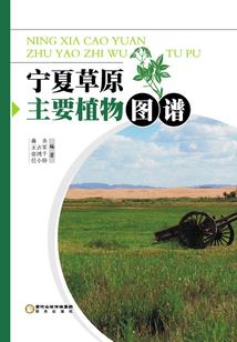 遇到情人运气很好