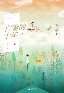蜡菊花的含义
