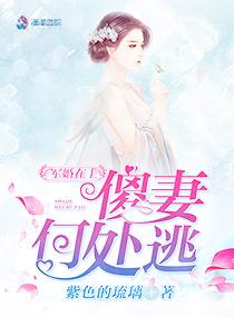 属马的傲慢