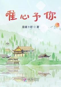 属兔哪年有好运