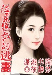 摆摊年属相灯笼