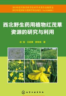 属龙最旺财时间