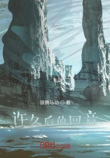 流道八字砖