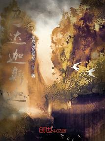 澜沧属相茶