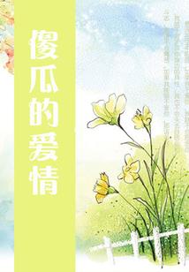 属虎家居背景