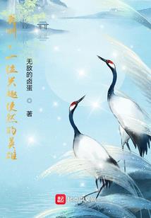 牛年属什么的财运旺