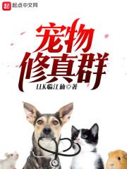 周公解梦大全梦见寒风