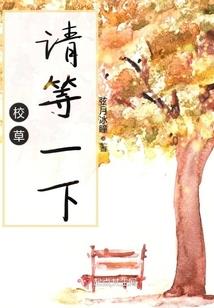 丁丑庚申命运