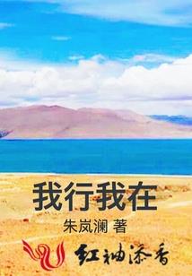属猪能带手链吗