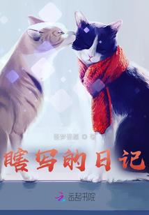 家中最好的风水视频