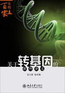 属马摩羯座合适的工作