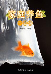 带龙的网名名字