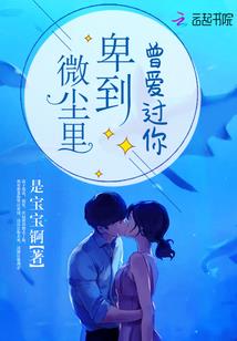 乐高城市起名怎么起名