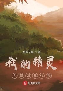 鱼黄草属龙2022
