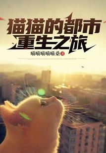 张店阴历十八大集