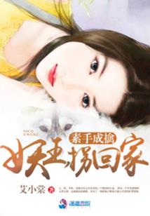 公司风水收费