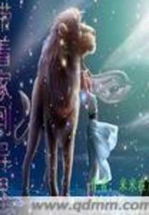 12星座谁最招人暗恋你