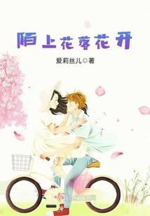 属鸡摩羯座男19年运程