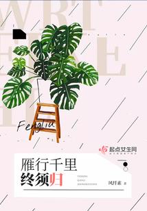 阴历平均一个月有几天